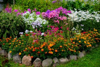 Perennials made simple guide